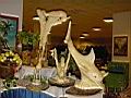 Resize of DSC00010.jpg